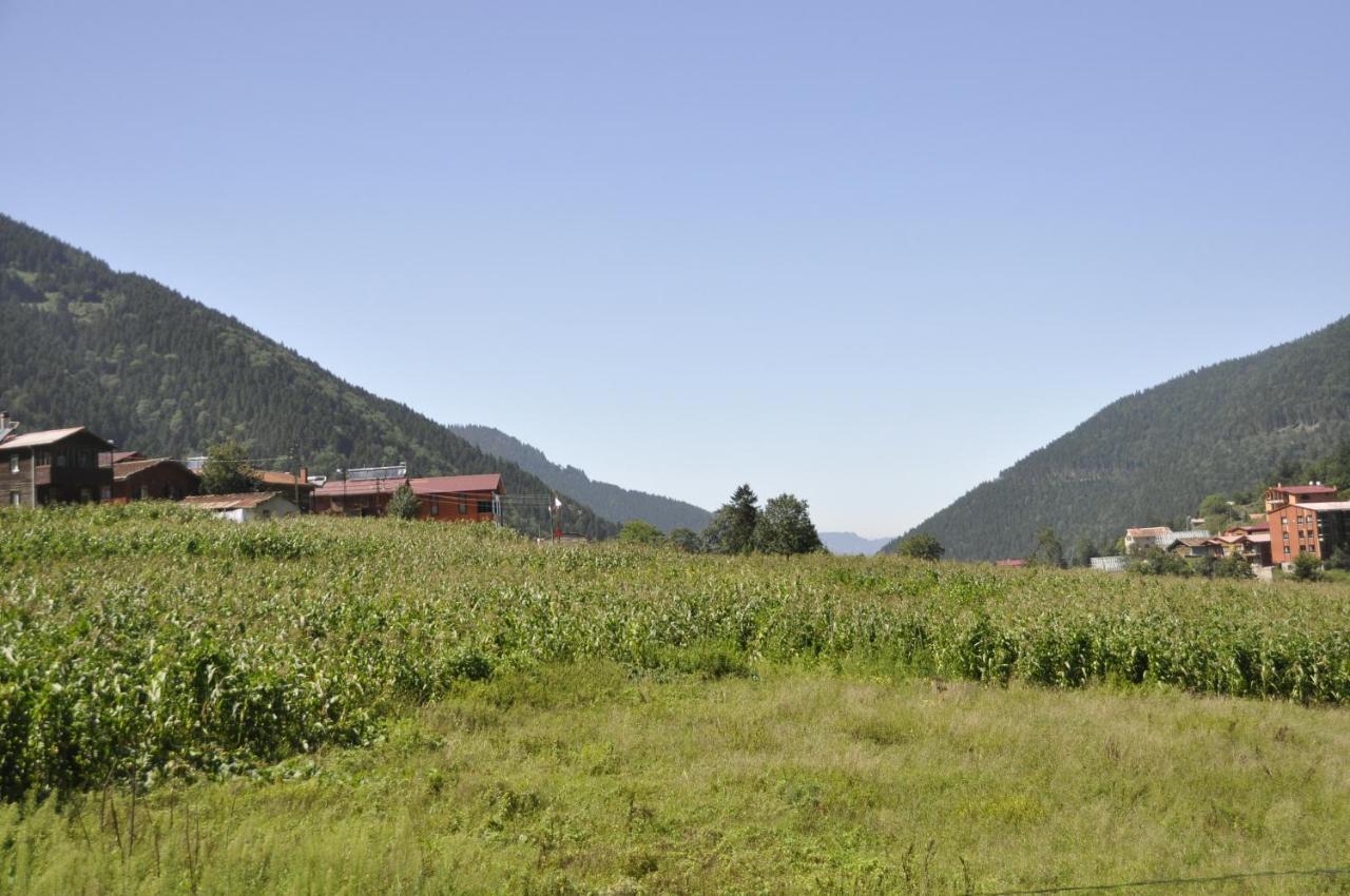 Anemo Suite Uzungöl Eksteriør billede
